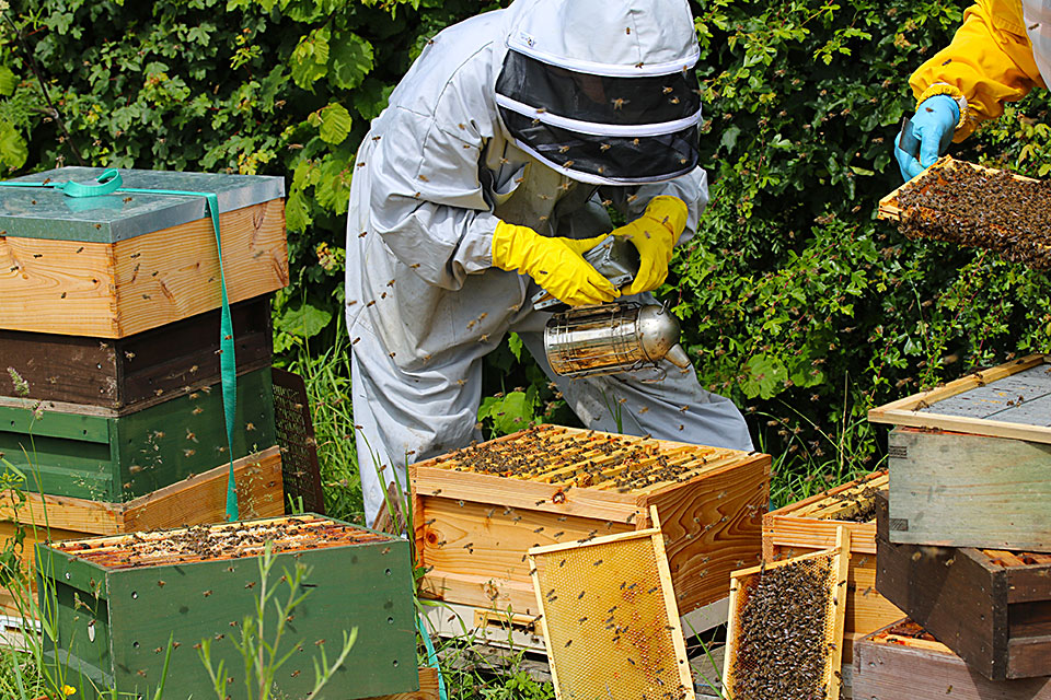 Beekeeper image